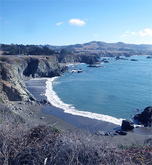 Bodega Bay Coastline