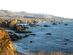 Bodega Bay Coastline