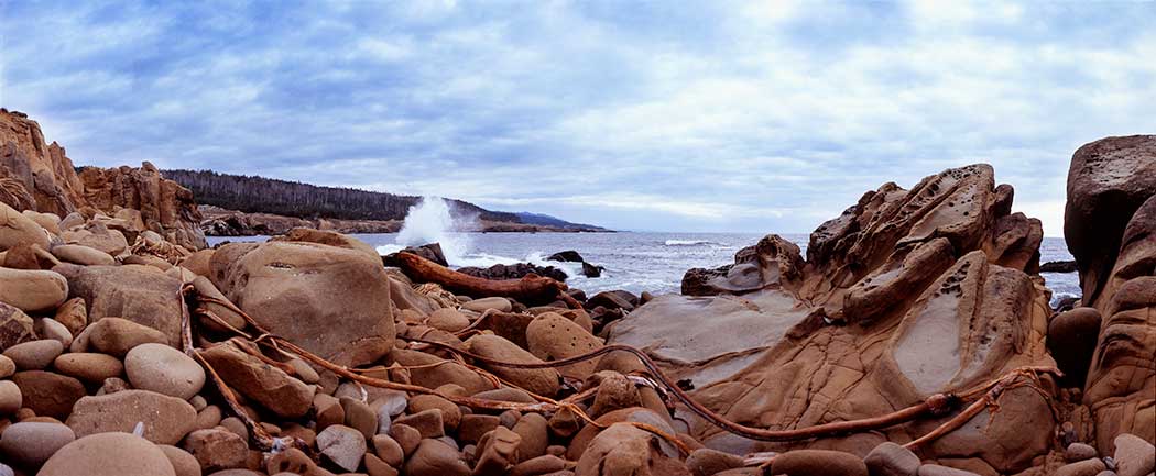 Grestle Cove in Point Arena